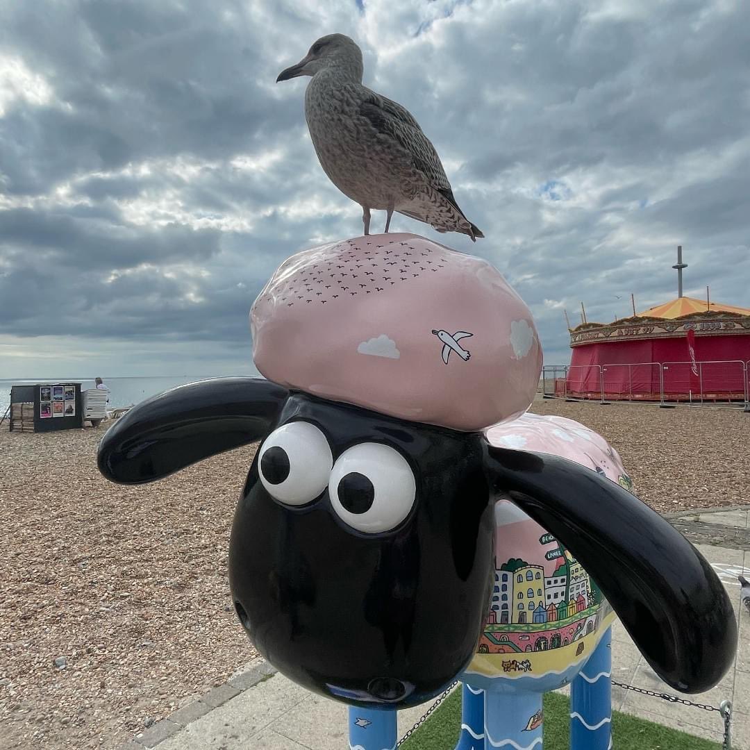 wildinart's tweet photo. All kinds of trail-goers have been visiting the #BrightonFlock! 🐦🐕👭

@shaunbythesea is only on display for a few more weeks, but you can buy tickets now to the Farewell Weekend taking place on 24-26 November in Brighton 🥳

👉 https://t.co/ElGVJaqrro

#wildinart #shaunbythesea https://t.co/4vKyfMLK5s