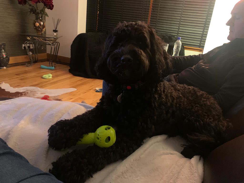 Jacki Smart tweet media