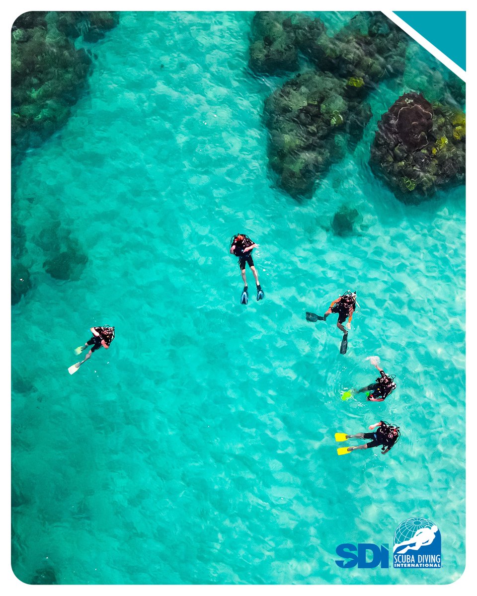 SDI Divers tweet media