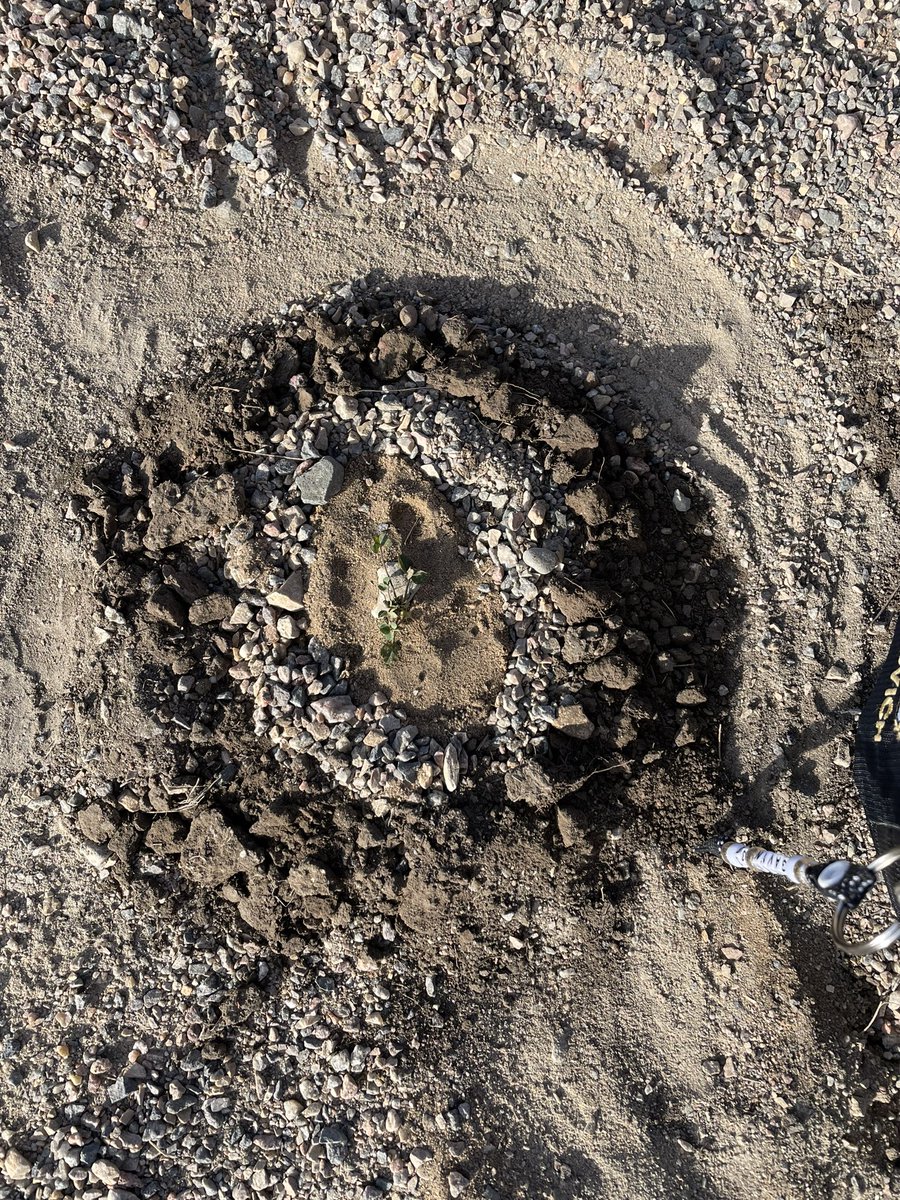 We started off #TakeMeOutsideDay week by spending Arts Ed. outside making mandalas out of natural materials. The Grade 3/4s had a blast!