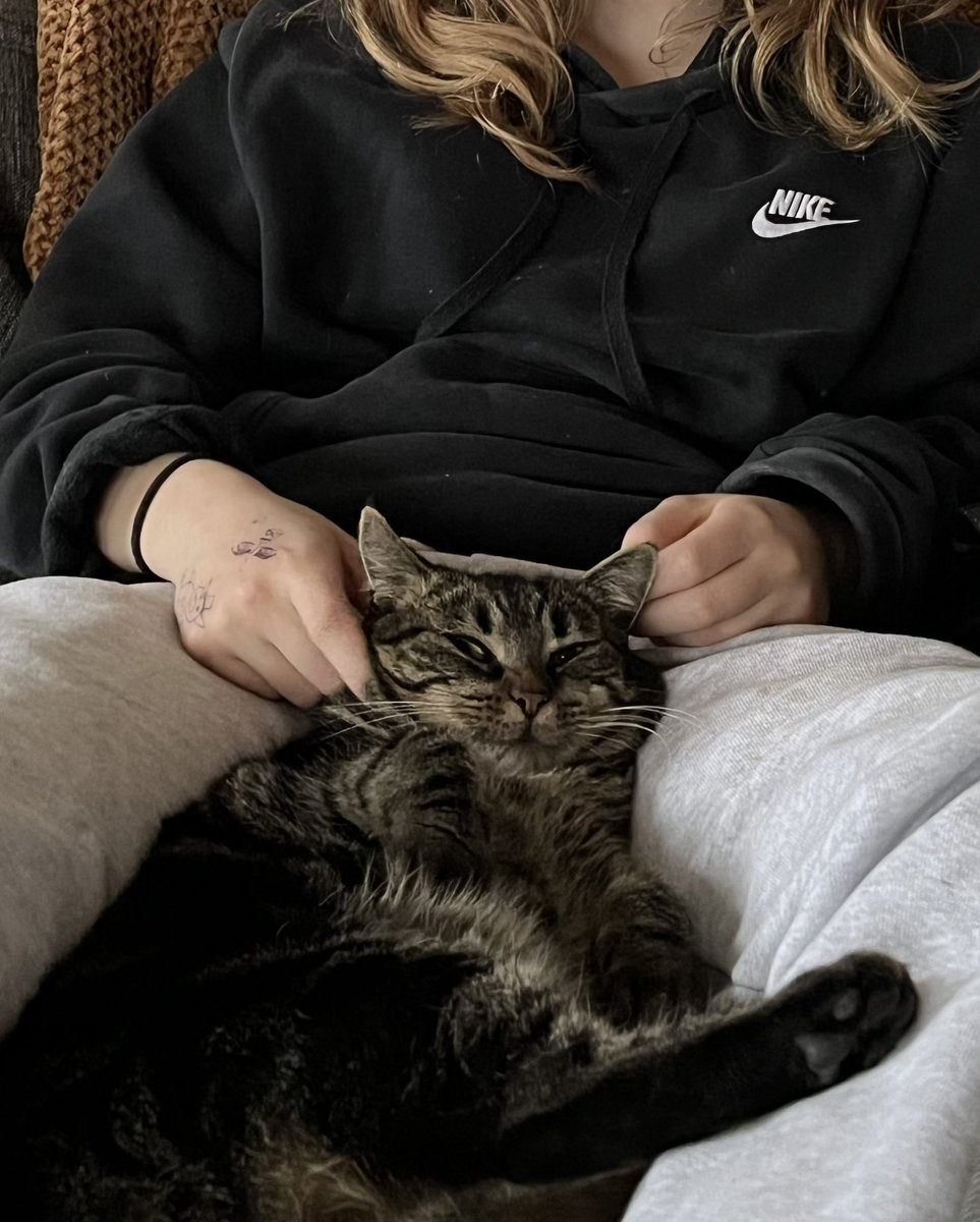 Látið mig vita ef ykkur vantar boðsbréf á BlueSky. Allt góða fólkið er þar. Hér er villikisan mín sem er að læra að meta kúr: