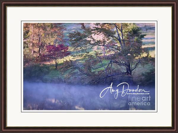 Morning Fog at Carl Sandburg Lake: the pond at Carl Sandburg Home National Historic Site located in Flat Rock, Western North Carolina. Welcome Autumn!

amy-dundon.pixels.com/featured/morni…

#framedprint #carlsandburg #pond #nationalhistoricsite #northcarolina #foggy #autumncolors #trees