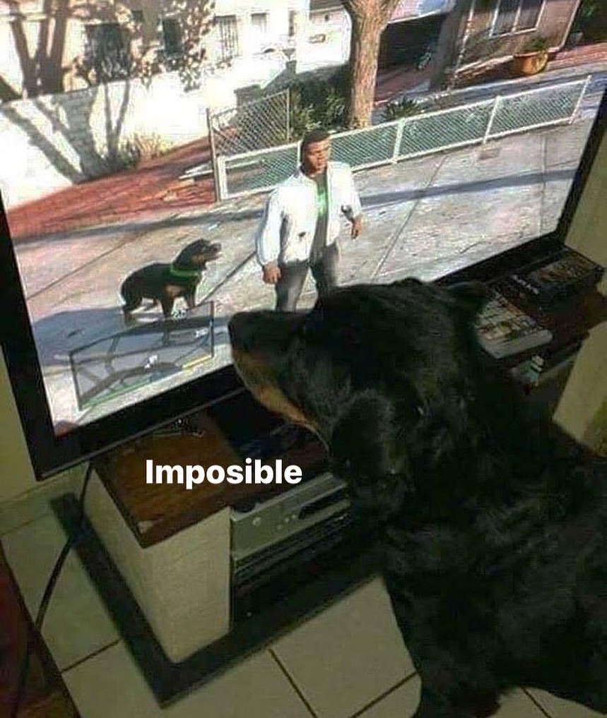 vinoypastis (@vinoypastillas) on Twitter photo 