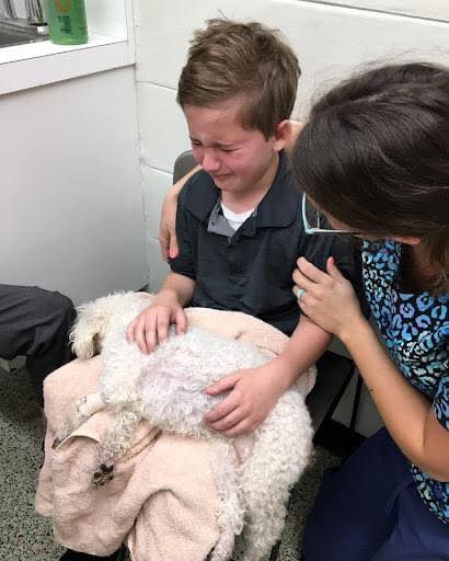 _XDogs's tweet image. Well, today didn't go as we hoped but it's in the hardest of times we learn the best lessons and feel the most gratitude.
Buffy was scheduled to have her teeth cleaned and removed today but Dr. Mac had a gut feeling she needed to look at some lab work before putting her under…