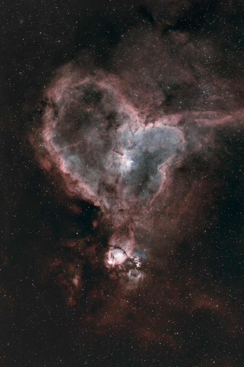 PascalHofikus's tweet photo. The Heart Nebula 🌌📷️

See more photos + prints of my photography https://t.co/mesGOqHJ0q

#astrophotography #astronomy #astrofotografie #telescope #ic1805 #williamoptics #zwoasi #nightphotography #space #night #switzerland #bern #stars #heatnebula https://t.co/rBIj83ssHG
