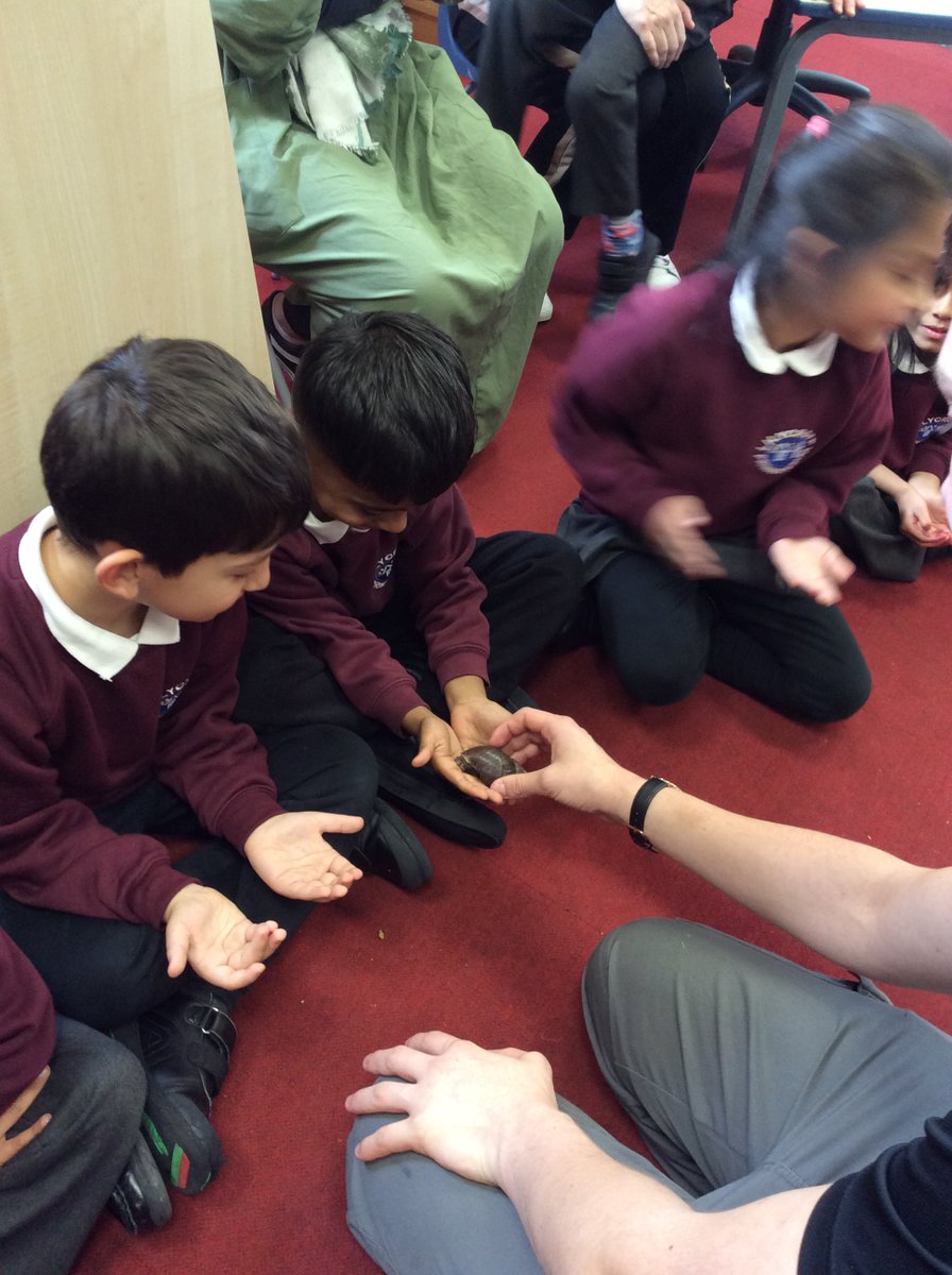 LilycroftSch's tweet photo. Zoolab visited Year 1 today. The children loved meeting the different animals and learning lots of new facts about them and their habitats. What a great workshop and what brave children! #zoolab ๐ฆ๐ท๏ธ๐๐ #minibeasts #Science https://t.co/vmVJFfCdii