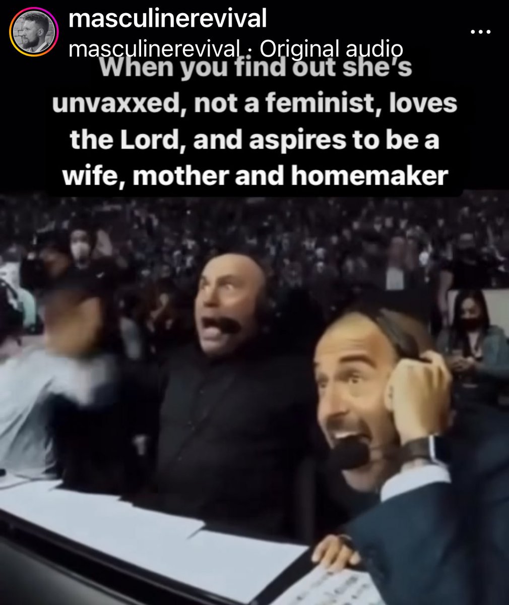 jess 🪞✨ tweet media