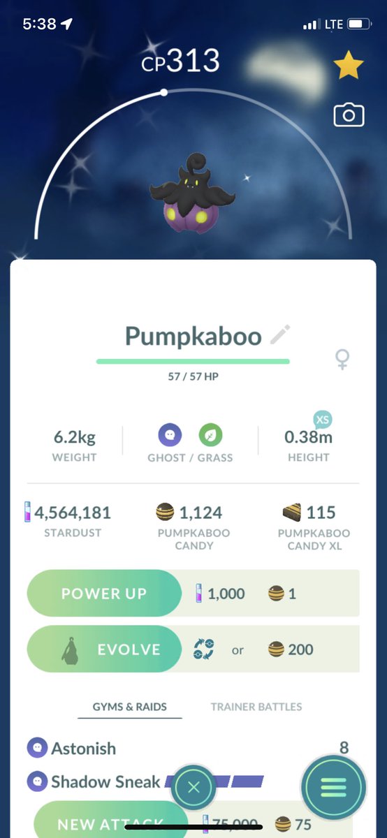 PoGoFerro's tweet photo. Best Halloween gift ever 💜

#PokemonGO #ShinyPokemon https://t.co/ULZaMvOC06