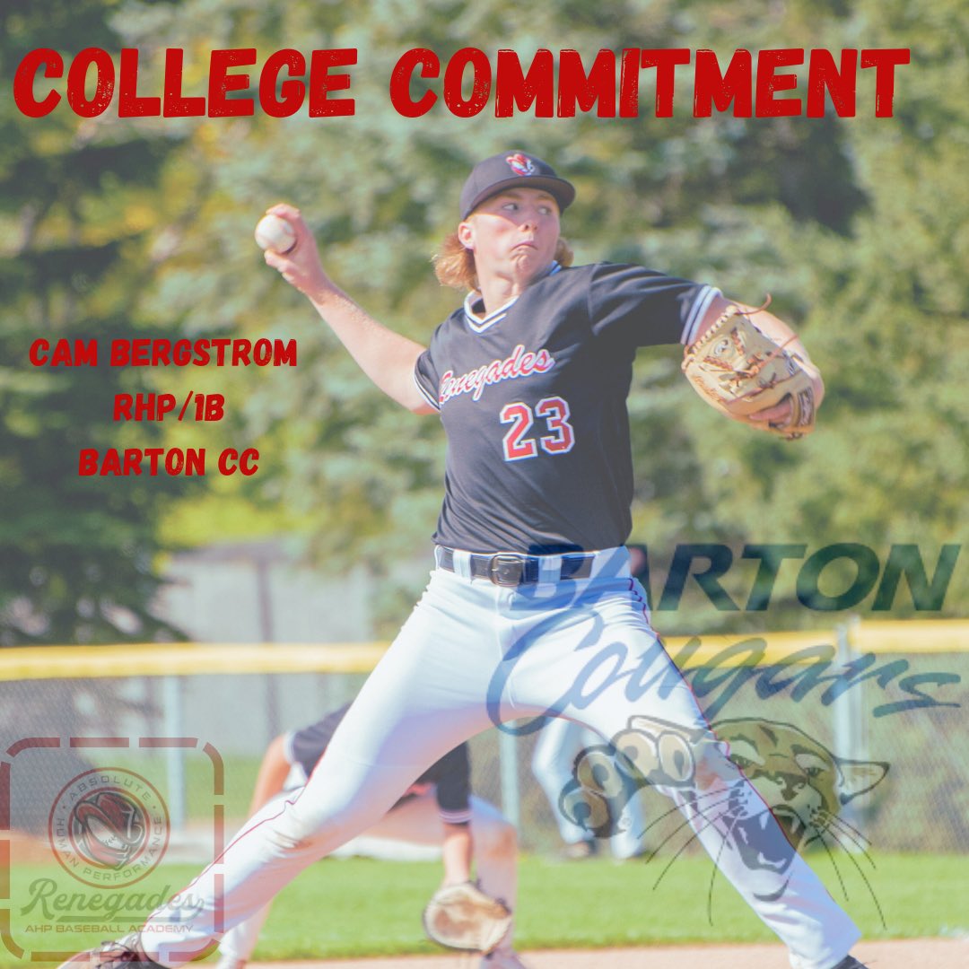AHP Renegades Baseball Academy tweet media