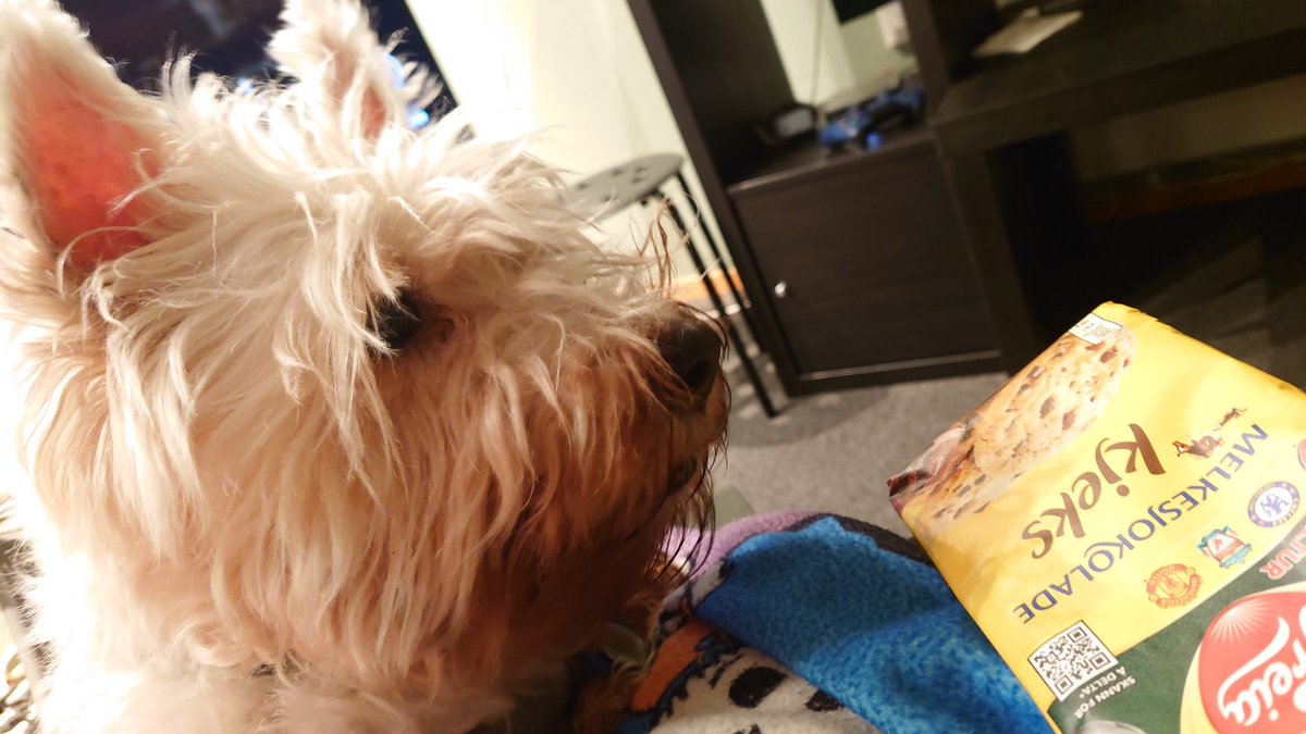 Muvver. Yoos has cookies. I likes cookies.

#zshq #cookiemonster #westitude