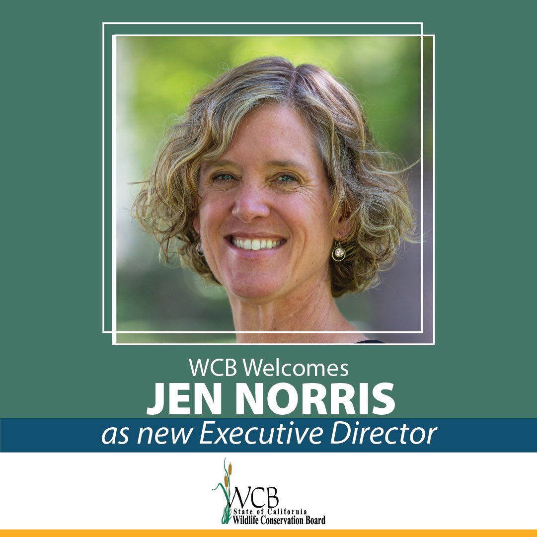 WCB is thrilled to announce the appointment of Dr. Jennifer Norris as its new Executive Director! @jmpnorris @30x30CA @protect30x30 @CaliforniaDFW @CalNatResources tinyurl.com/3ta9yn3p