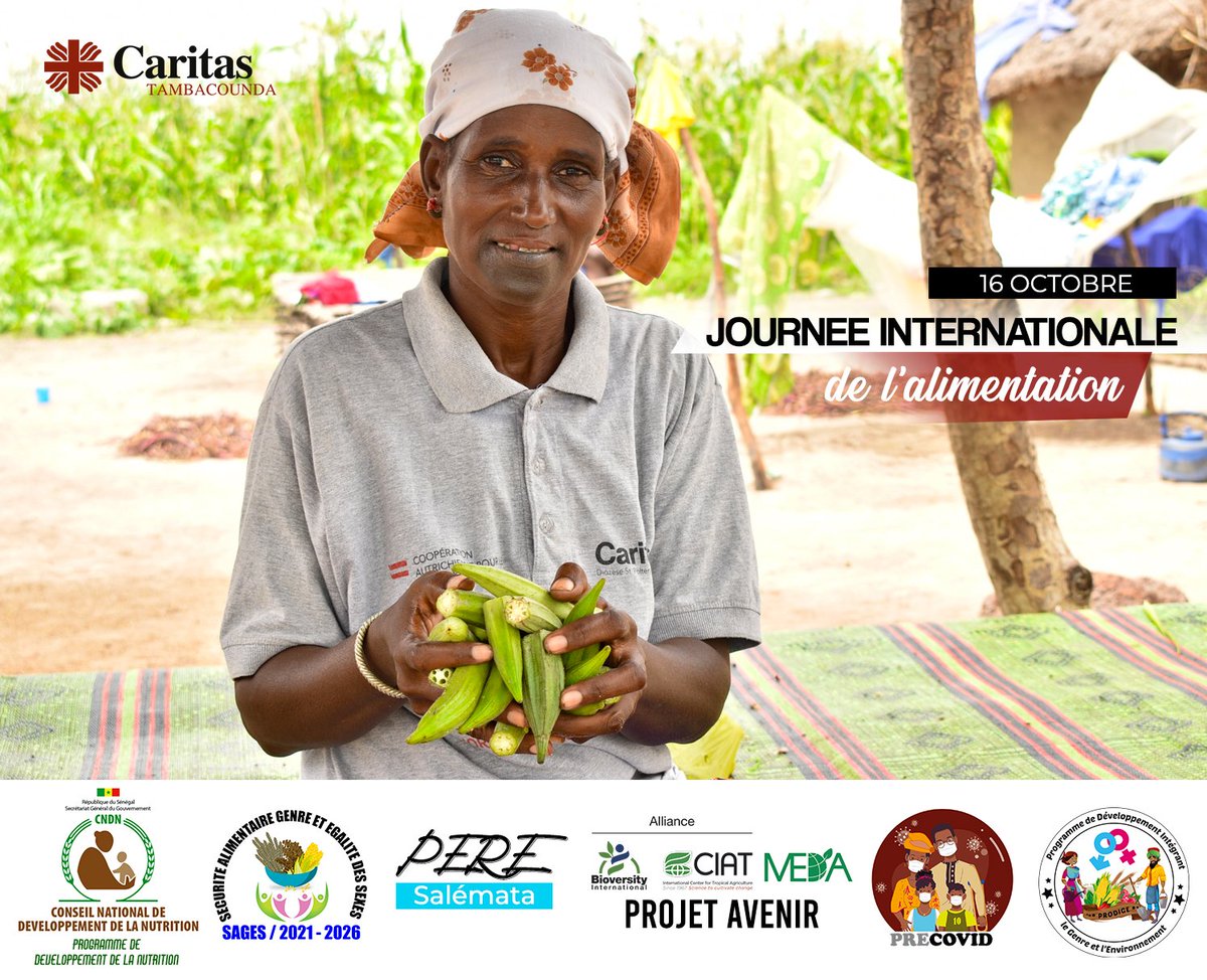 A tous nos chers bénéficiaires, agents de développement communautaires et partenaires, nous vous souhaitons une excellente journée internationale de l'alimentation! 🫛🌽🍅🍆🥬🫑🧅🥜
<a href="/CaritasSenegal/">Caritas Sénégal</a> <a href="/CndnSenegal/">CNDN Sénégal</a>
<a href="/CaritasAustria/">Caritas Österreich</a> @HORIZONT3000  
<a href="/BiovIntCIAT_eng/">Alliance of Bioversity International and CIAT</a>