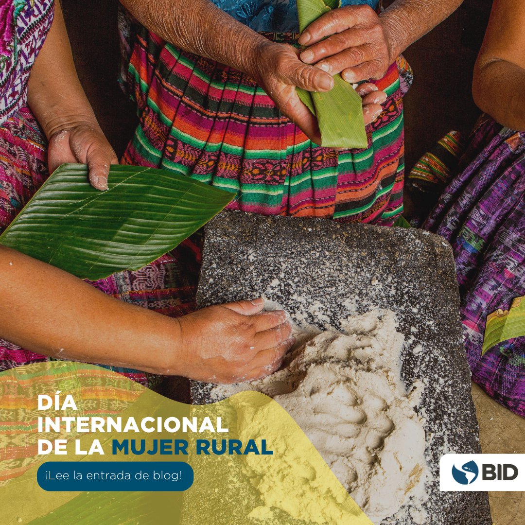 el_BID's tweet photo. ¿Qué necesitan las #MujeresRurales en #Guatemala? 👩🏾‍🌾👩🏻‍🌾 En el marco del Día Internacional de la Mujer Rural, exploramos sus desafíos y oportunidades ➡️ https://t.co/EaQSQ5Zp59 https://t.co/CUfwuPqFLV