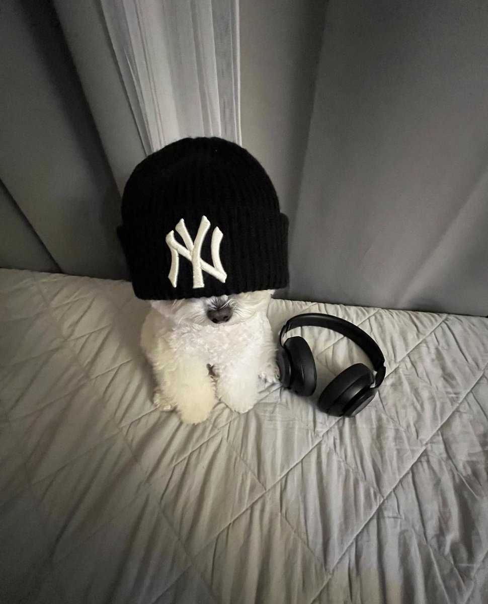 whipaf's tweet photo. im on whatever vibe this is https://t.co/thBUlYXWTH