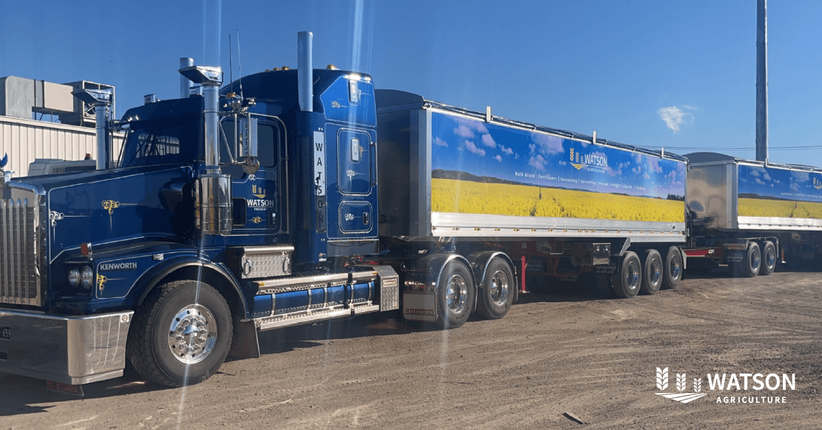 At #WatsonAgriculture, we promise safe &amp; prompt delivery of your grains to their destination, and our advanced transportation technology ensures that your grains stay fresh.

Discover our freight services here:
watsonagriculture.com.au/freight/ 

#transportation #harvest