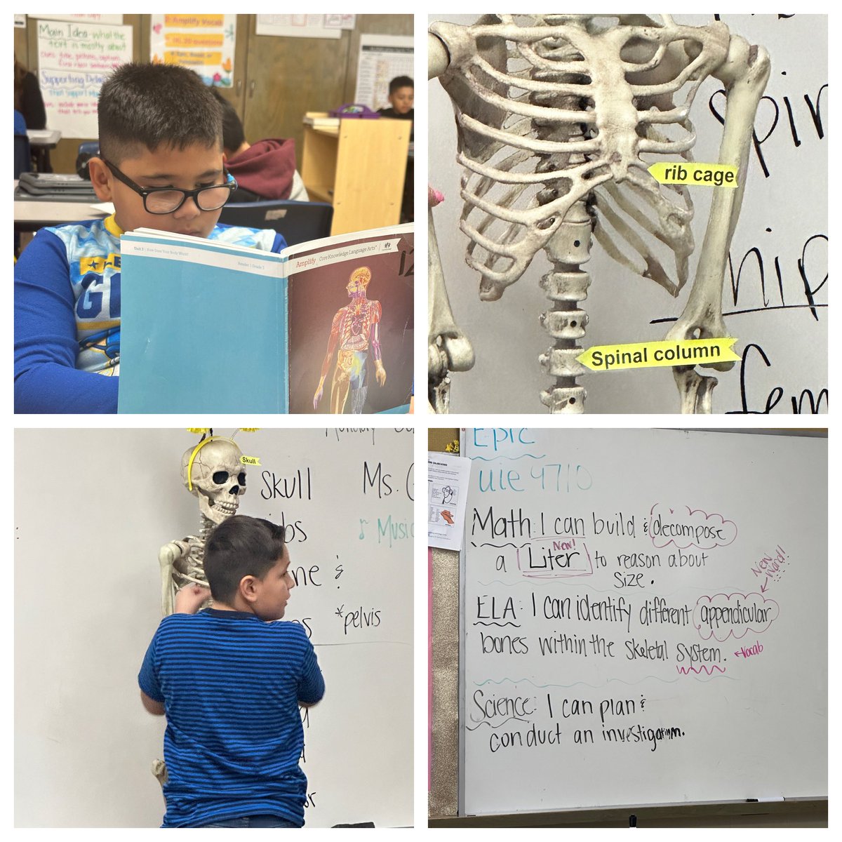 Molly Struzzo (@mstruzzo) on Twitter photo It was a marvelous Monday. From vocabulary supports to labeling life size skeletal systems to setting students up for success… Caruthers’ students and teachers were on 🔥 today!!!
<a href="/Mstewart_2u/">Dr. Marques Stewart</a> <a href="/kckschools/">Kansas City, Kansas Public Schools</a> It was a marvelous Monday. From vocabulary supports to labeling life size skeletal systems to setting students up for success… Caruthers’ students and teachers were on 🔥 today!!!
<a href="/Mstewart_2u/">Dr. Marques Stewart</a> <a href="/kckschools/">Kansas City, Kansas Public Schools</a>