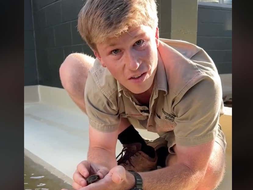 barstoolsports's tweet photo. Heartwarming Moment: Steve Irwin's Son Shares Incredible Moment, Hatching A Baby Turtle of a Species That His Dad Discovered https://t.co/00aEqlJfaF https://t.co/muvmtWLwZ6