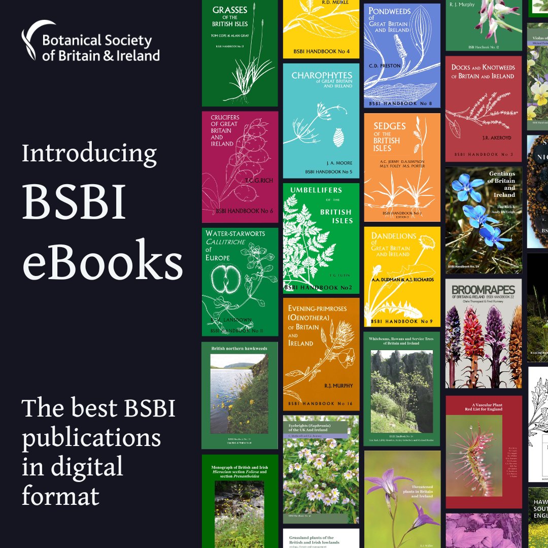 Drumroll please! We've just made all 24 of our fabulous #BSBIHandbooks, from authors inc @thorogoodchris1 & Fred Rumsey @NHM_Botany, available as eBooks! Check out the eBook collection: bsbi.org/ebooks Find out more about our Handbooks: bsbi.org/bsbi-handbooks