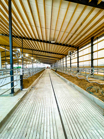 FoxCitiesBuild's tweet image. 🚜 Construction Update at: Wittenberg Embryo Transfer
The building teams continue with the installation of the ventilation system in this state-of-the-art dairy facility. 

#wittenbergembryotransfer #freestallbarn #milkingparlor #dairyfarm #agconstruction #foxcitiesbuilders