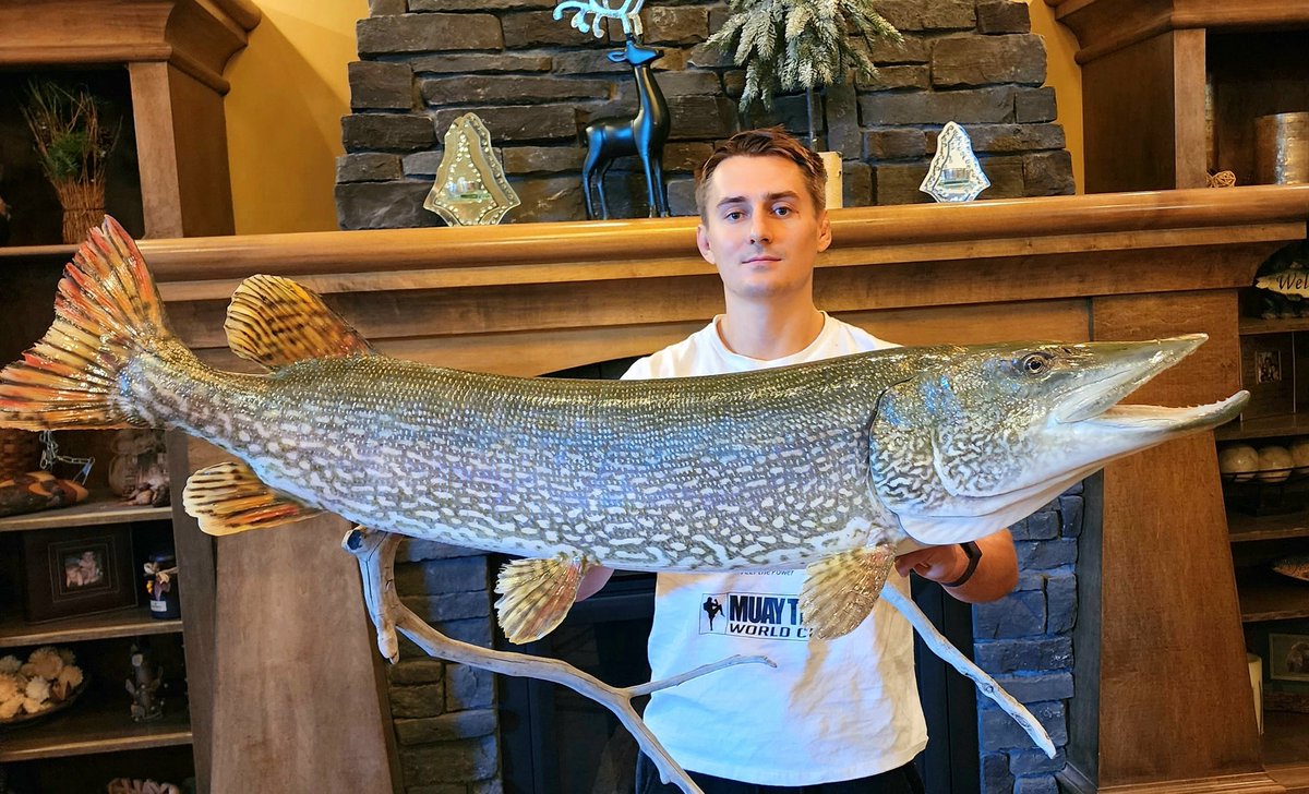 CodyJerome_'s tweet photo. Big Pike turned out well 🔥
#Pike #NorthernPike #MonsterPike #Flyfishing #PikeOnTheFly #Mount https://t.co/u7VvEZaKR6