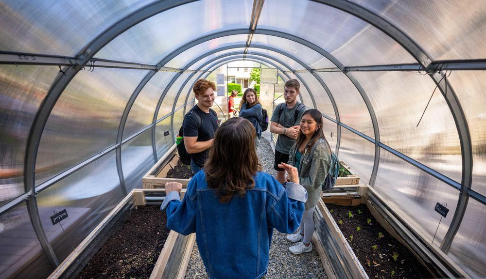 Did you know?! WPI now has a community garden, thanks to student movers and shakers on the Green Team building partnerships across the campus community. bit.ly/3s2kYVX