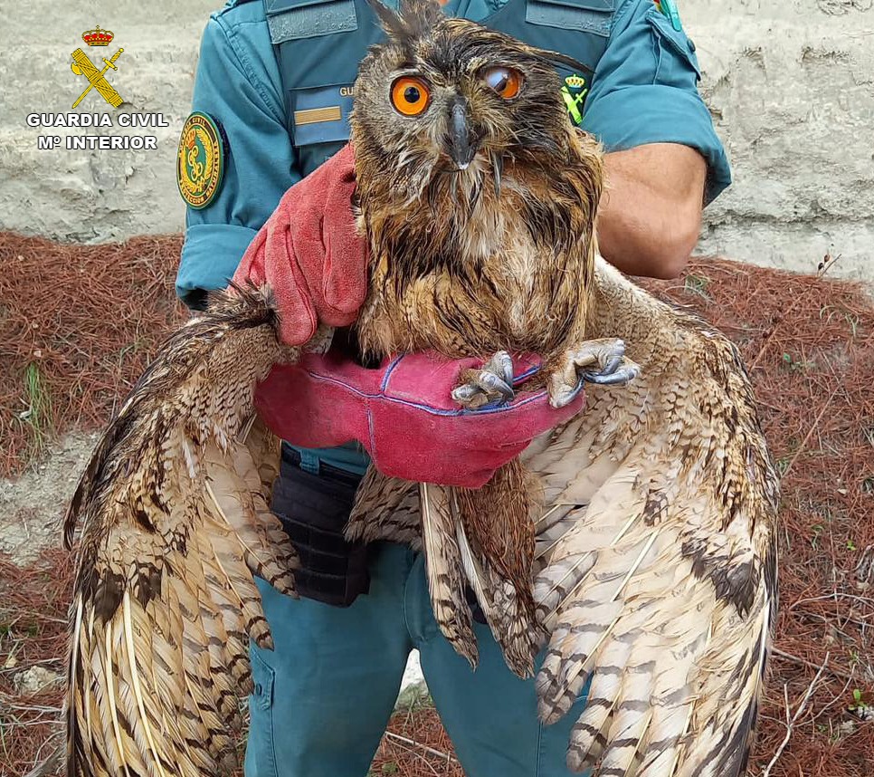 Foto cedida por Guardia Civil