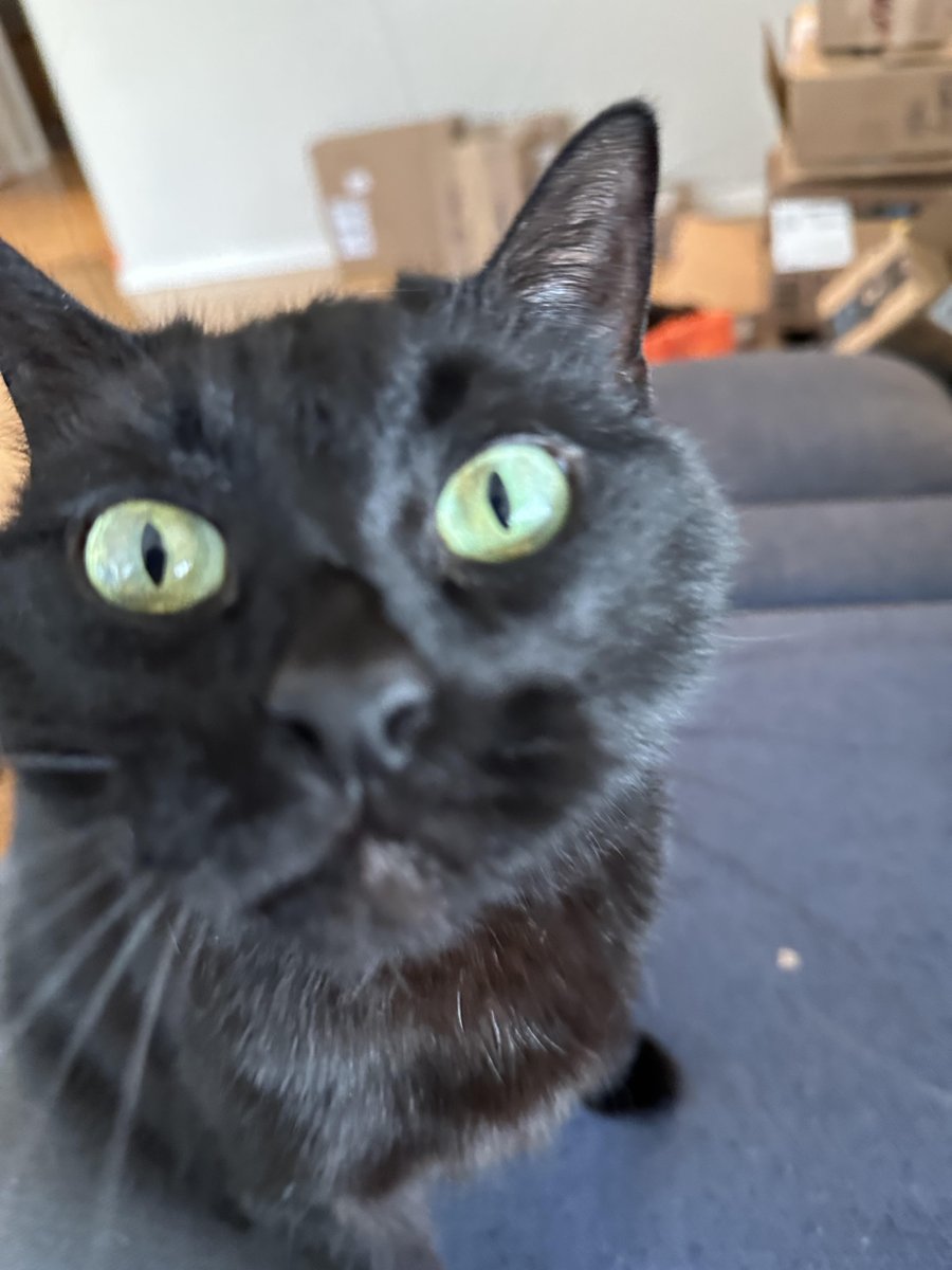 Richard Kadrey tweet media