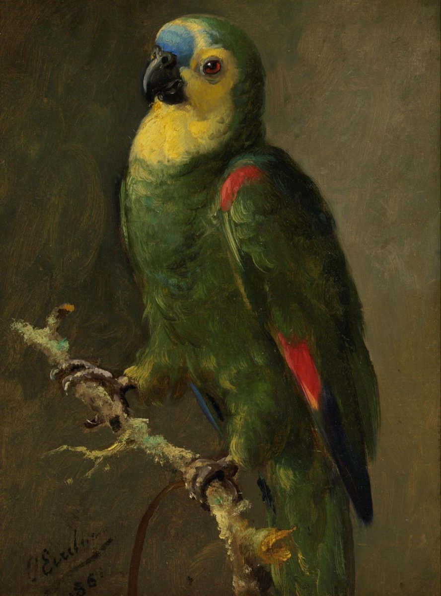 Otto Eerelman
(Dutch,  1839 - 1926 ).
#painting
#Art #artshare #oilpainting 
#artist #bird #Papagei #Kunst #Gemälde #Ölmalerei