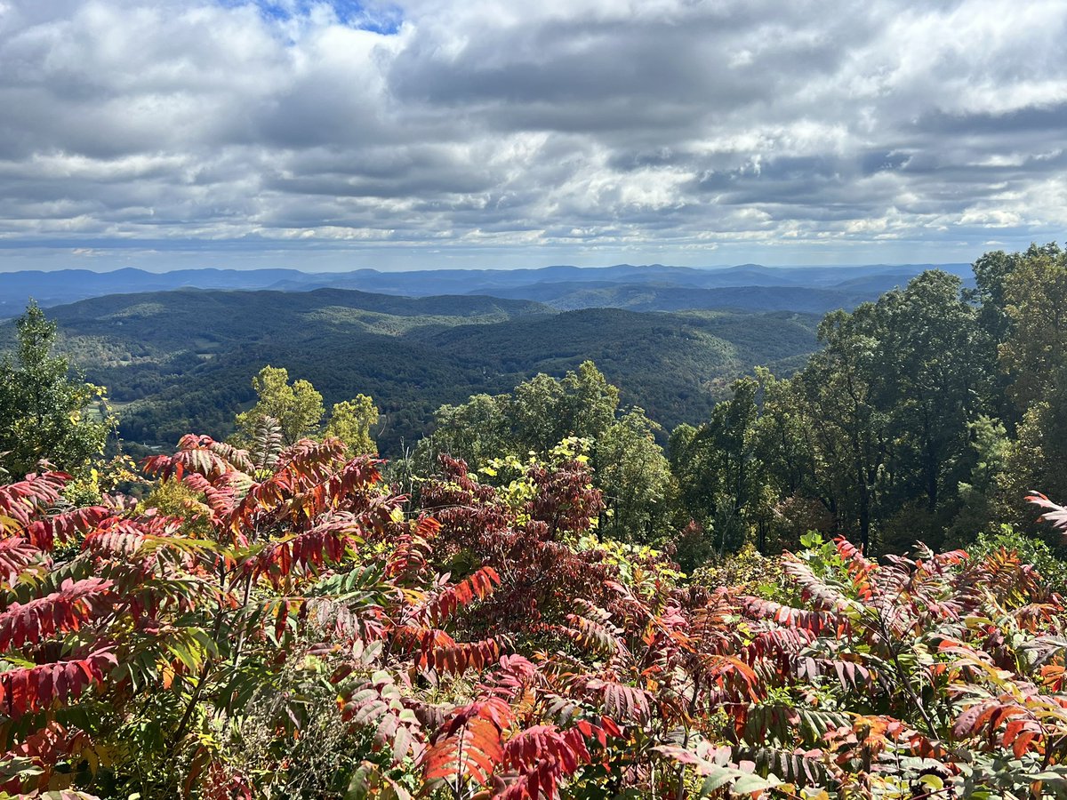 furluvcats's tweet image. It’s beautiful in the Smokies today! #blueridgeparkway #smokies