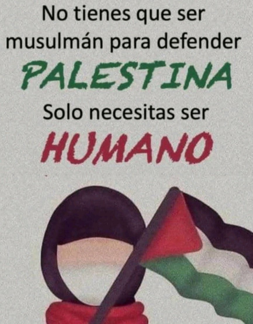 Un rt los que exigimos el cese del genocidio de Israel contra Palestina: