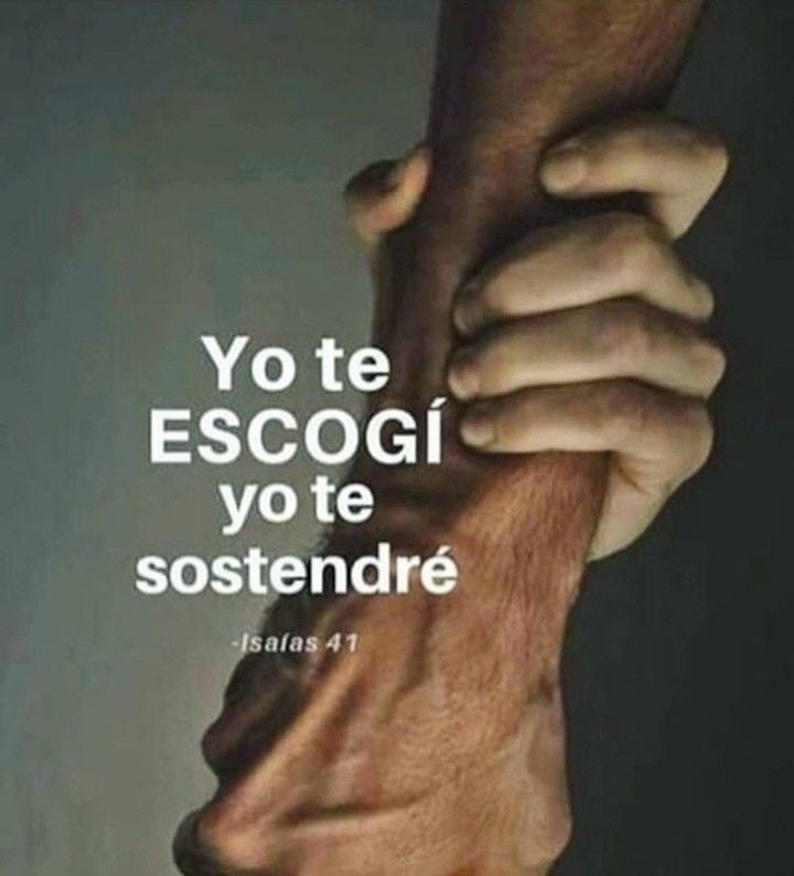 𝐹𝑢𝑒𝑛𝑡𝑒 𝑑𝑒 𝑎𝑔𝑢𝑎 𝑣𝑖𝑣𝑎 tweet media