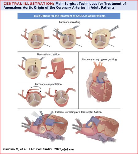 Edgardo Alania tweet media