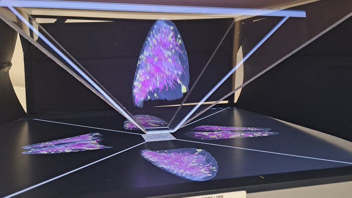 CEAParisSaclay's tweet photo. [🧑‍🔬👩‍🔬 #FDS2023 ] 🧪C'était ce weekend à l'occasion de la @FeteScience : les chercheurs des laboratoires d'#IDMIT et du #CNRGH vous ont accueilli pour célébrer la #Science avec vous. 
🙏Merci d'avoir été aussi nombreux et à l'année prochaine ! https://t.co/nfuD07W0j7