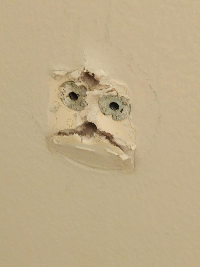 FireEXE_'s tweet photo. @KisaVtuber Hole-y moly https://t.co/KX5vNMNjgX
