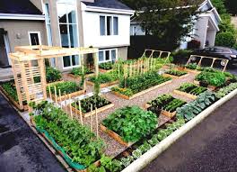 HP_Organi's tweet photo. We also delivered a meaningful talk to @Radiotv10rwanda from 6:30 to 7:00PM on how we can deal with food insecurity #FoodAvailability by having smart #kitchengardens as home yard instead of cimemt or grass yard and #fruitstrees instead of other trees #WFD2023 @RwandaAgriBoard https://t.co/tdODYJRlld