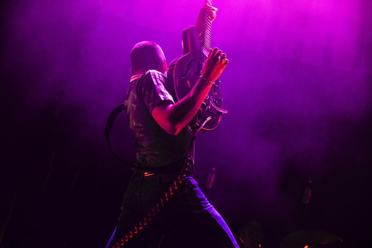 Miles Kane tweet media