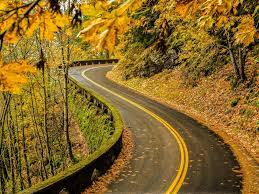 side_viewer's tweet photo. Raining and little fog.
But beautiful Autumn.
~Seattle, WA. https://t.co/ztYLWx6sT4