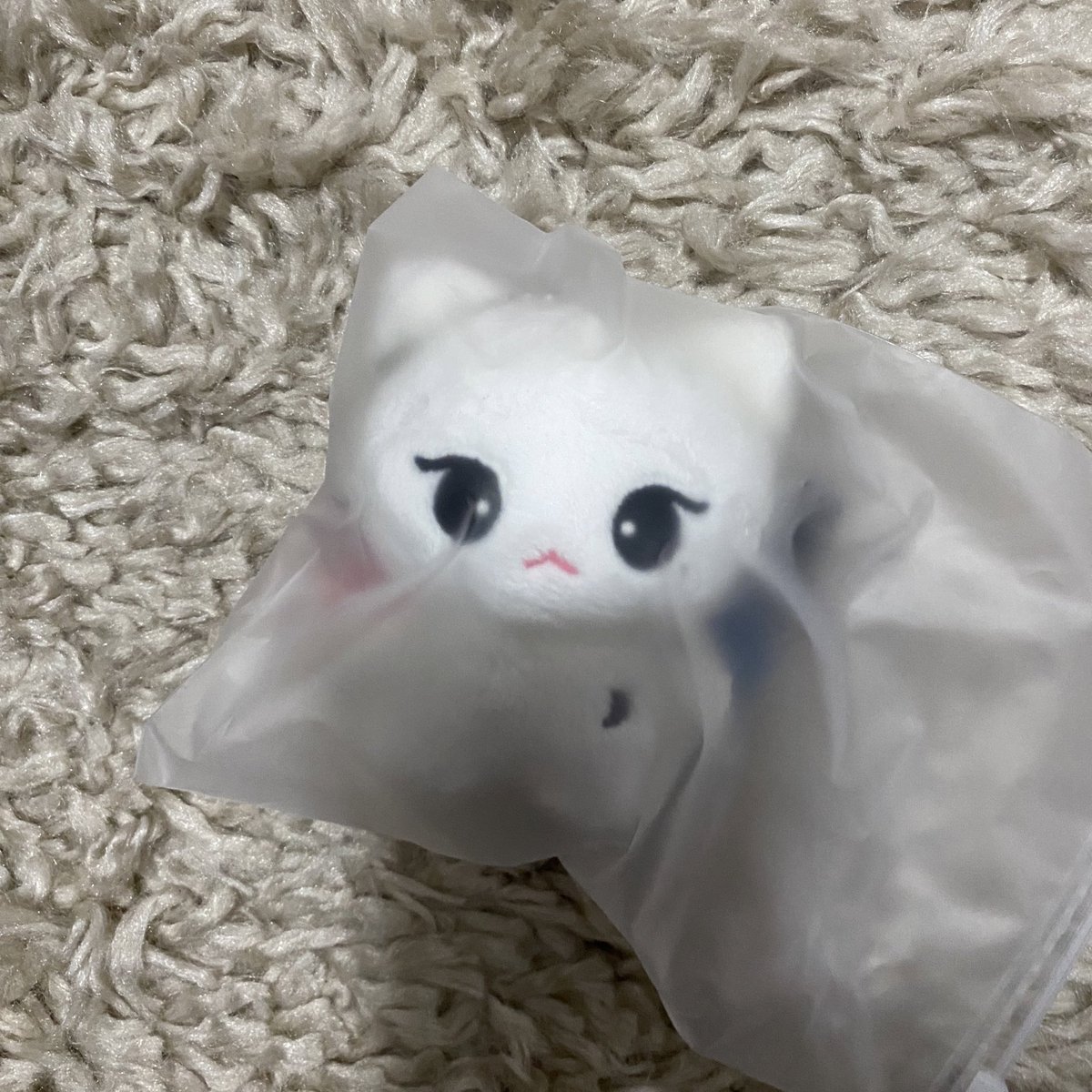 filmcix's tweet photo. #rubyjayrv I’ve never been happier Omg I finally got my child home 🥹🥹🥹💕 thank you for selling to me 🥹🫶🏽 https://t.co/k02YPO5lnH