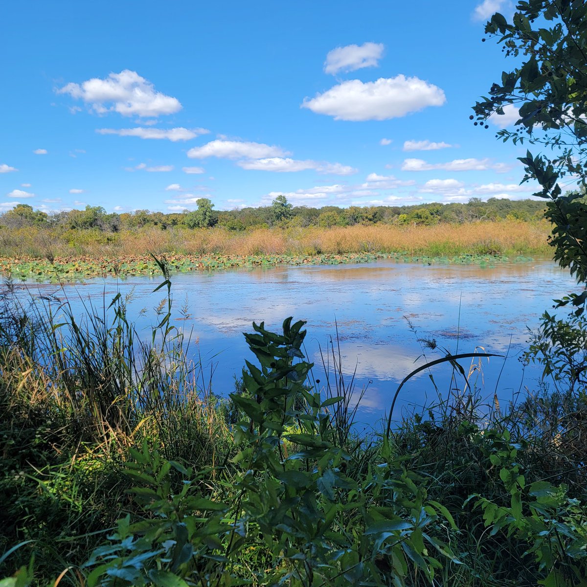 EmmaGoldmanBookClub tweet media