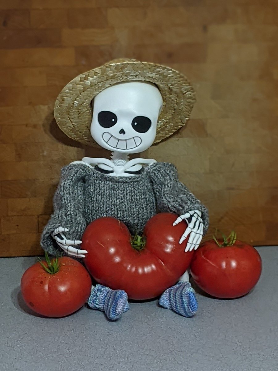TDoompoet's tweet photo. Lil' skellie boy showing off the last tomato harvest of the year! Including a very special tomato!

#sansdoll #bittysans #garden https://t.co/TqFTyg7SNQ