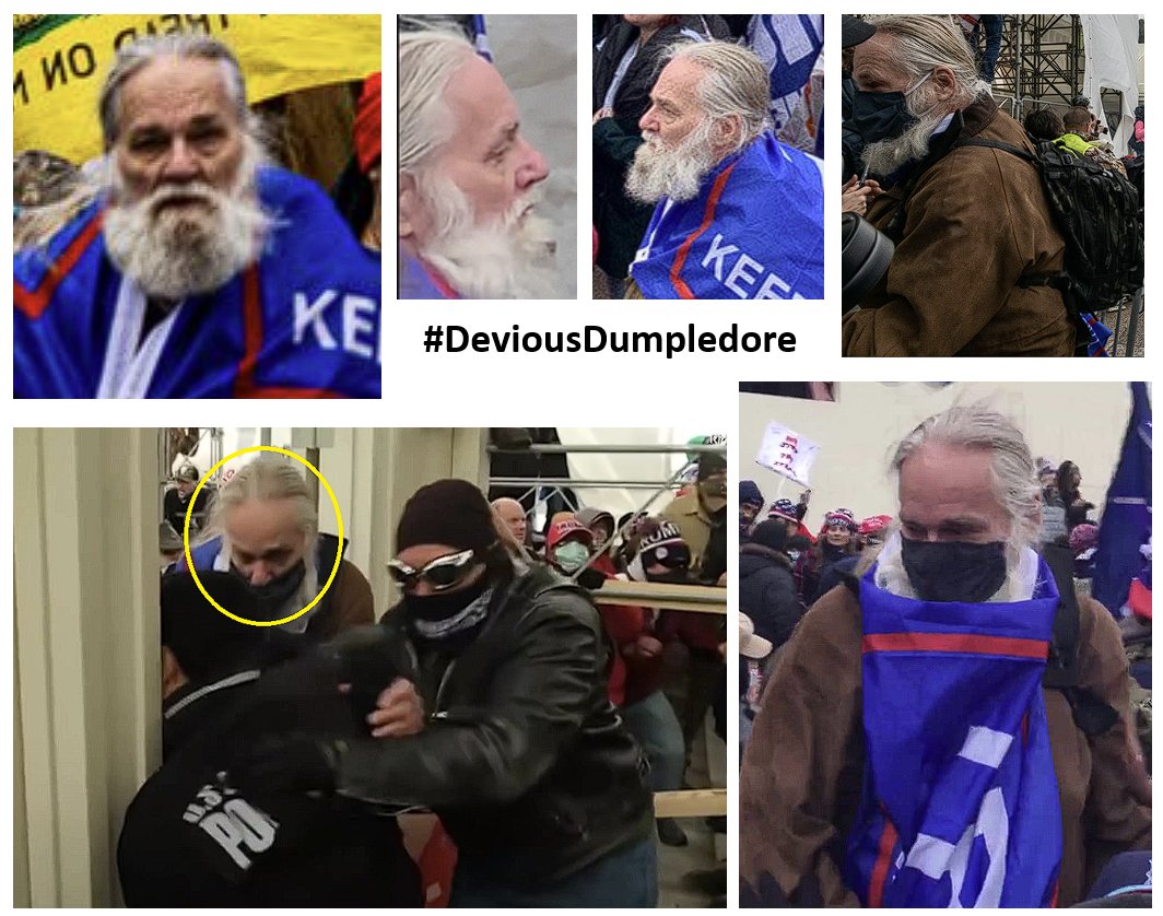 Suspected AFO on #J6 #DoYouKnow #DeviousDumpledore please contact the FBI at fbi.tips.gov or contact us at admin@seditionhunters.org