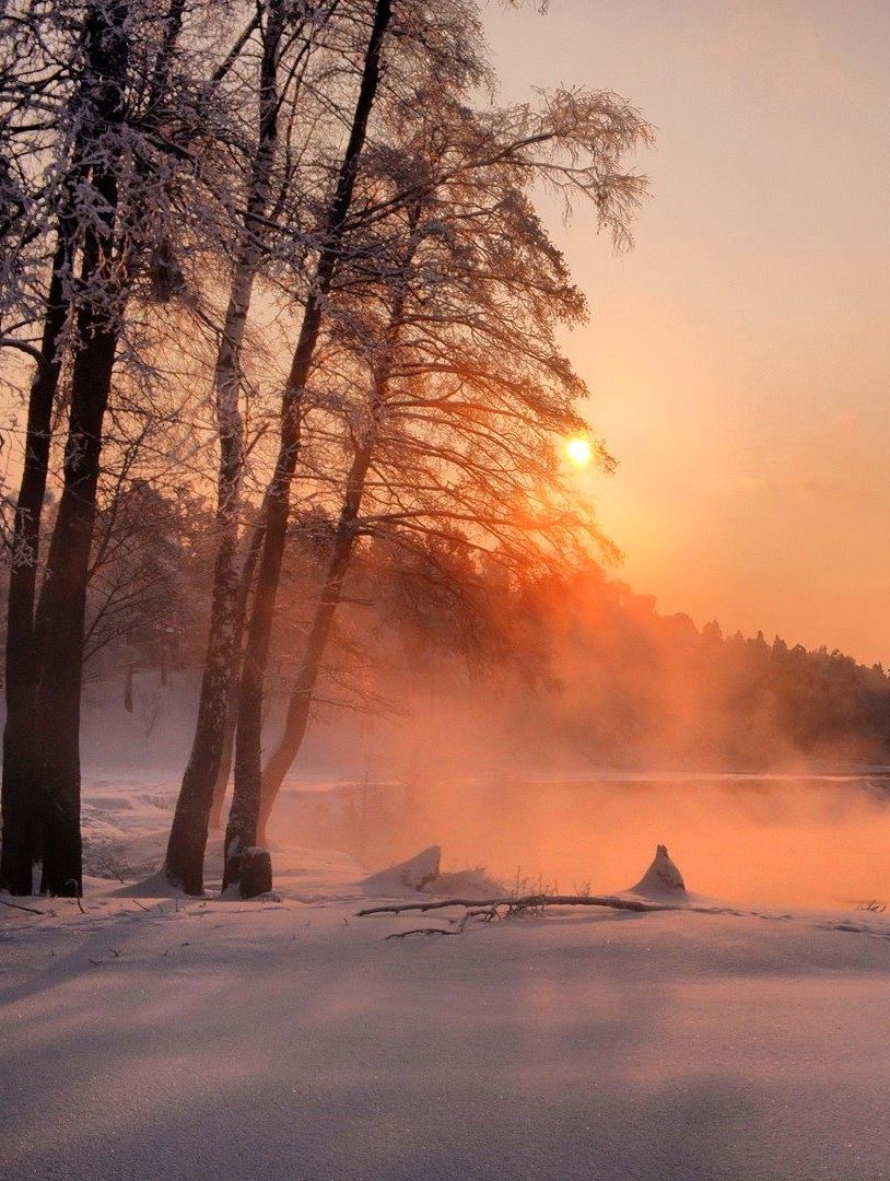 Tina Koskima 🕊️ tweet media