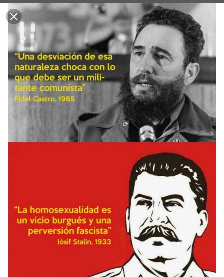 gatino🇦🇷,🏳️‍🌈,🐍💛🖤 tweet media