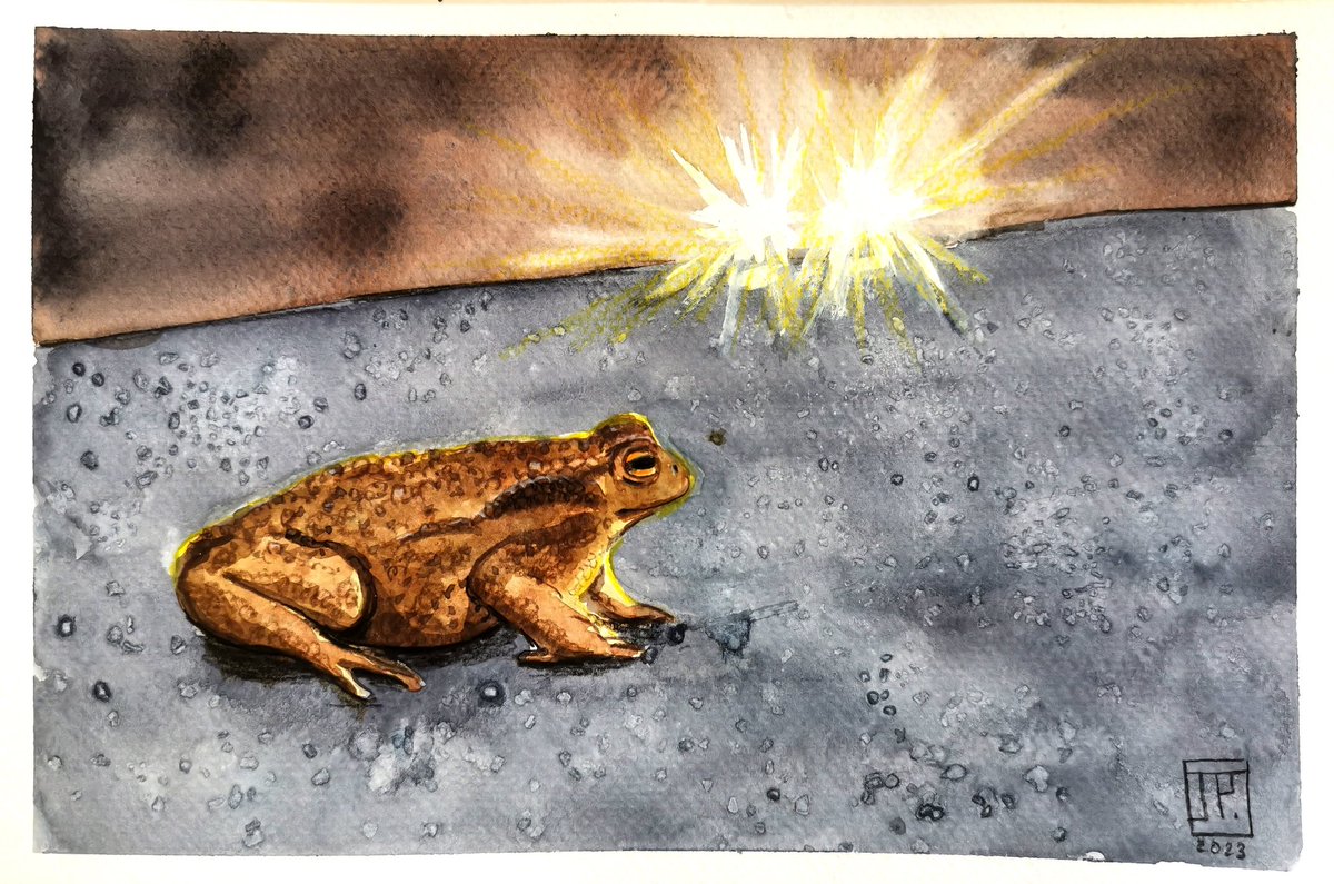 #Greenktober 8 - Toad / Crapaud

#Inktober #Inktober2023 #a69