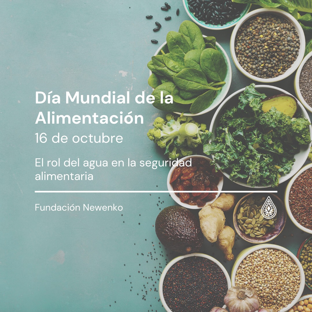 Fundación Newenko tweet media