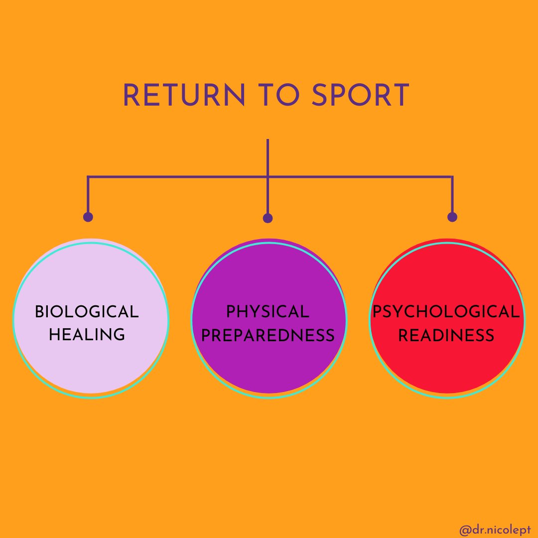 Nicole Surdyka tweet media