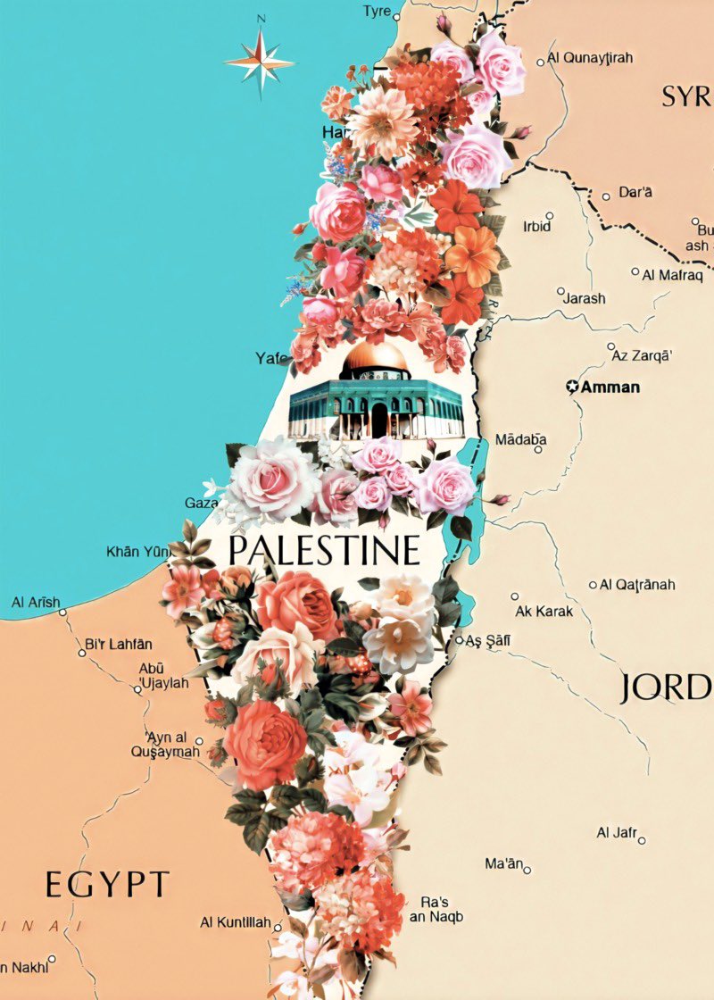 Bağrına batan dikenler sökülecek ve çiçek açacaksın yeniden.
#zionistterror