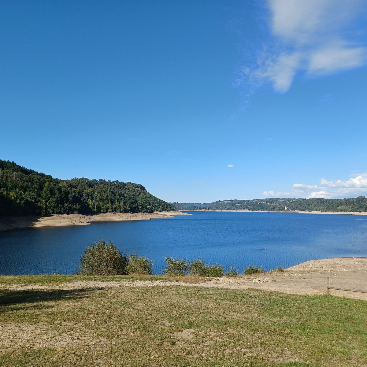 Marie Connell tweet media