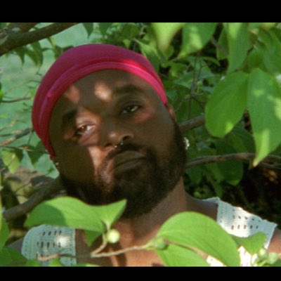 D E M E T R U E S T tweet media