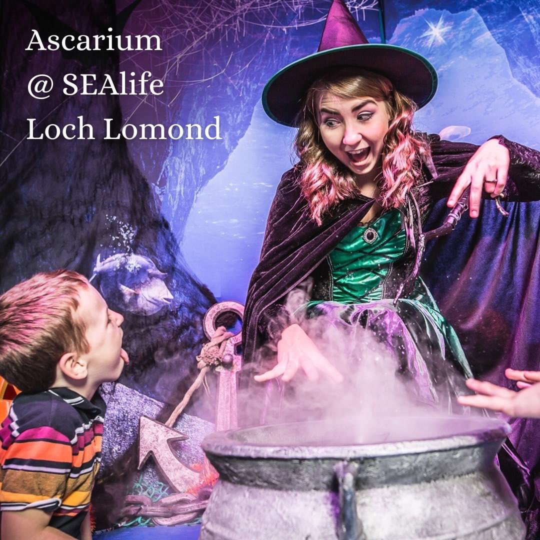 It's a Special Spooky Member Monday this week! We've got 5 things to do with the kids this half-term…
1 - @sealifelochlomond has become an Ascarium from the 14th - 31st October! 
book online via their website - visitsealife.com/loch-lomond/ex…